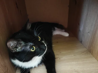 Krzychuuu3 - @Momento83 tak