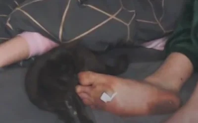 Desire22 - @LenoV12: Melina inna, ale nawyki higieny te same.