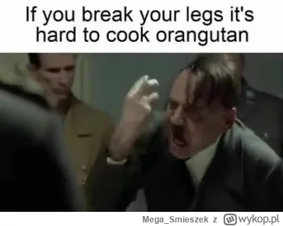 Mega_Smieszek - O uj jak prykłem xD

#heheszki #angielski #niemiecki #film