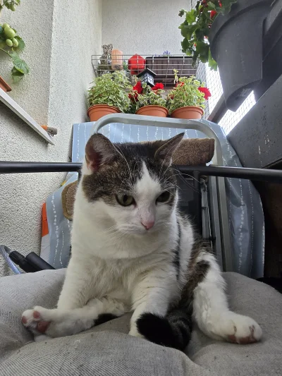 Solsith - @SVCXZ: żadną dieta niestety nie działa( ͡° ͜ʖ ͡°)