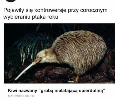 PorzeczkowySok