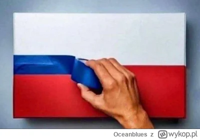 Oceanblues - @kxniec: konfederacja to ruskie onuce