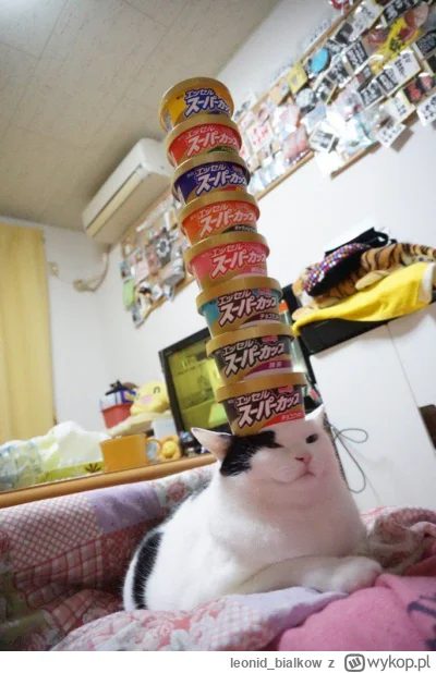 leonid_bialkow - AAAAAAAAAAAAAAAAAAAAAAAAAAAAAAAAAAAAAAAAAAAAAA