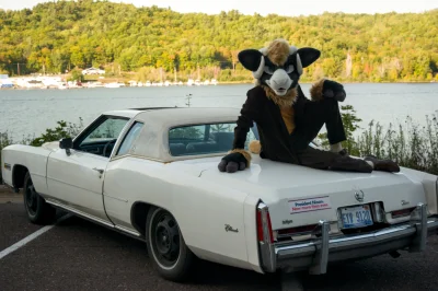 Fennrir - #samochody #motoryzacja #furry #fursuit #heheszki