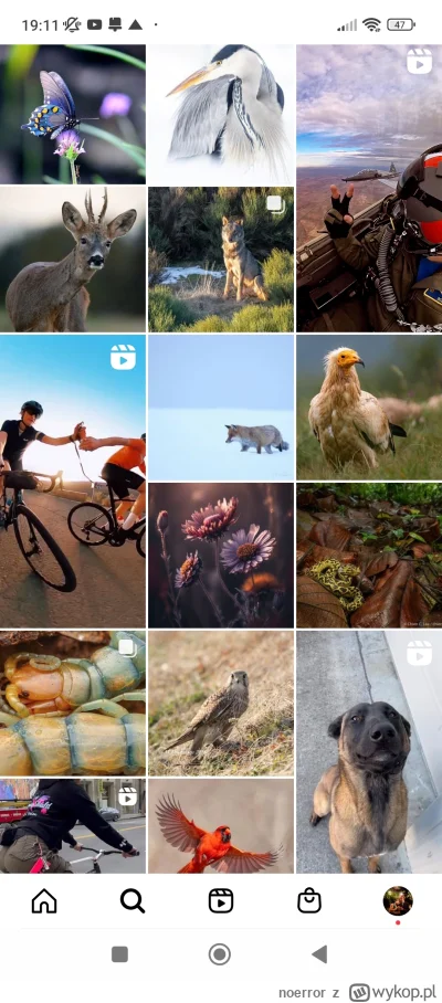 noerror - @LonNon to Ci poleca w co klikasz
zobacz na moją lupkę na insta