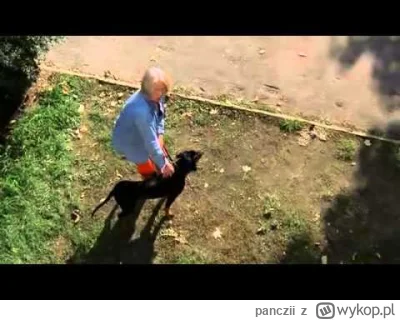 panczii - @GangKobry: