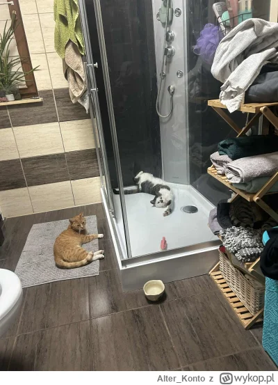 Alter_Konto - #pokazkota
Może wspólna kąpiel wariacie?