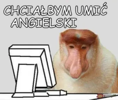 bobthebuilder - >wieśniaki z pisu mogą Radkowi buty czyścić

@wincenty1: Tymczasem wi...