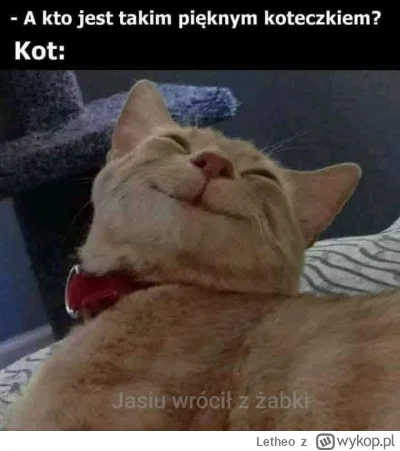 Letheo - #heheszki Jasiu wrócił z żabki, nie kumam