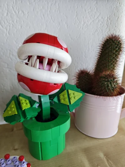 openordie - @Wziuu_pontonem poznaj boba