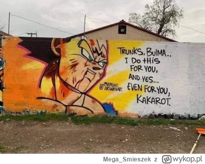 Mega_Smieszek - #dragonball