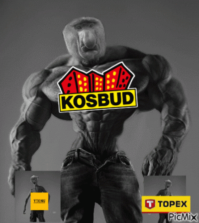 koneserprogresywnegodiscopolo - #konkursnanajbardziejgownianymemznosaczem