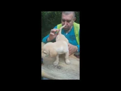 KononopediaRu - @grand_khavatari: https://www.youtube.com/watch?v=kNBzAuczSXE
https:/...