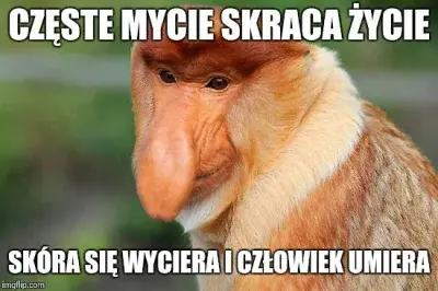 QoTheGreat - @kto-wie-ten-wie32: