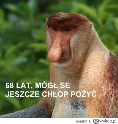 popik3 - #humorobrazkowy #heheszki #wszystkichswietych