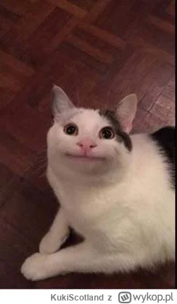 KukiScotland - @wfyokyga: