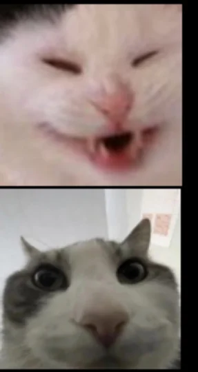 Timer_555 - #przegryw