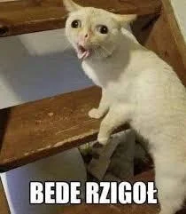 Vendigoo - @NAZWATYMCZASOWA: