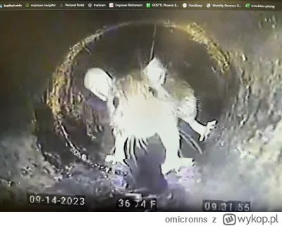 omicronns - #gielda #meczennicyxtb

Szczur po prostu najadł się śmieci na powierzchni...