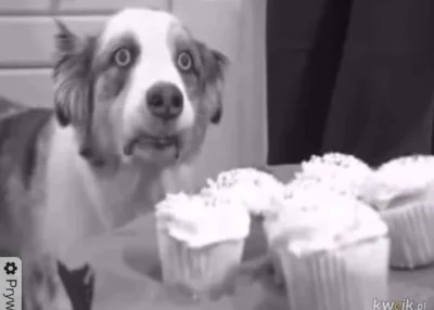 ekstazo - Pogodynka w TV Republika:
Nadciąga front z Niemiec
Ślepa babcia: