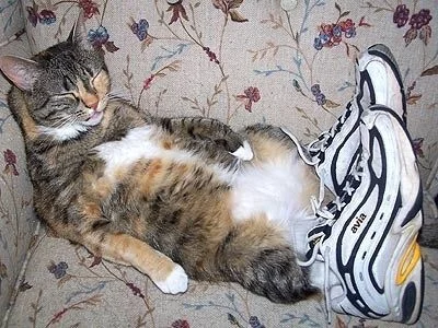 dywergent - ide spac, obym sie juz nigdy nie obudzil