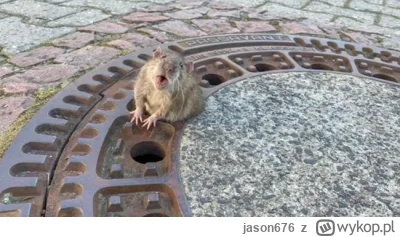 jason676 - #gielda #meczennicyxtb wyjdź już do ludzi, a nie siedzisz tylko w tej dziu...