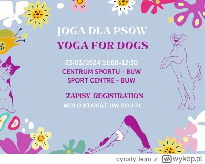 cycaty-fejm - @mareksa666: Ale mają yogę dla psów  , przebijam late
