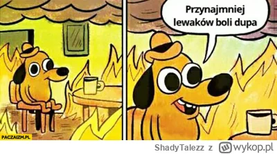 ShadyTalezz - @mango2018: misiu mnie d--a nie piecze ale chyba nie zdajesz sobie spra...