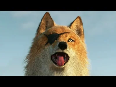 kapitanjaszczur - do czego to doszło, żeby materiał klocucha o psach wyglądał jako ba...