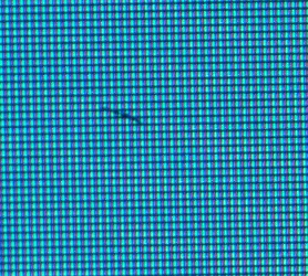 iErdo - Kurde, budzi się człowiek z rana, odpala monitor a tu taki ptaszek. I no jest...