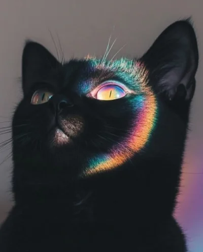 wybryk_natury - #zlodziejskiewybryki