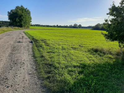 machinegunkelly_ - Widoki huopskie #spierdotrip