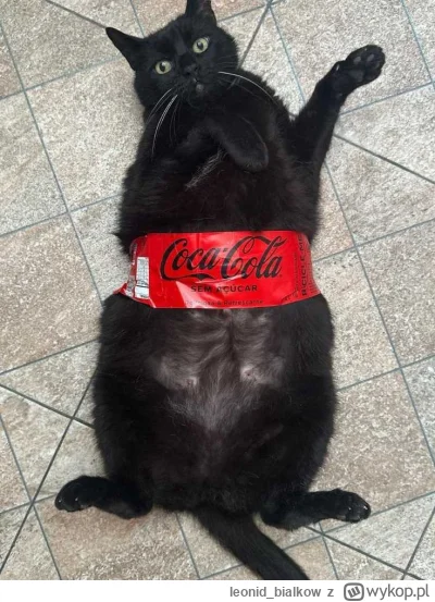 leonidbialkow - @CorvusFrugilagus: cze dla ciebie latajoncy