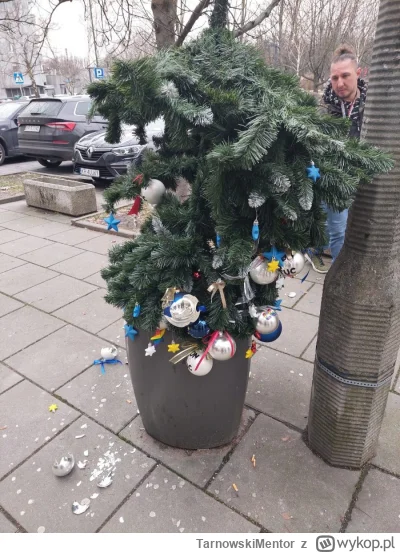 TarnowskiMentor - @Jaro070: nie kłam. choinkę wynosił, bo miała na sobie bombki z nap...