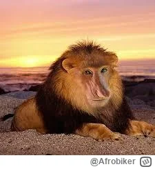 Afrobiker - @Soothsayer Eeee tam nie widzę podobieństwa