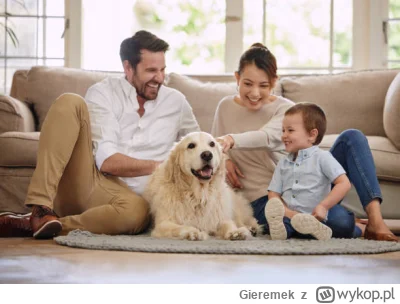 Gieremek - @przemek-ja: kup sobie psa. Psiegryw niczego nie boi się bardziej niż szcz...