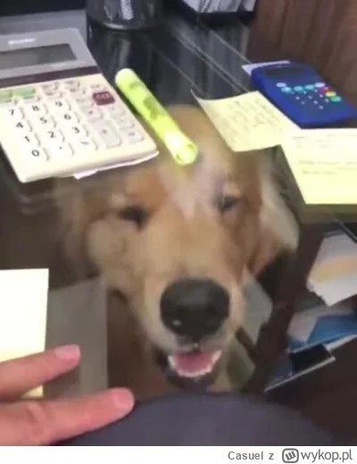 Casuel - @powsinogaszszlaja: