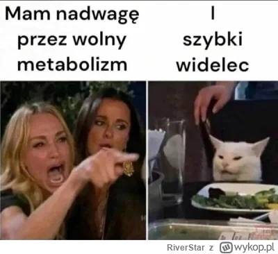 RiverStar - #koty #rozowepaski #memy