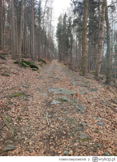 rowerowyswirek - 61 589 + 116 = 61 705

Wczoraj wybrałem się na Ślężę robiąc kwadraci...