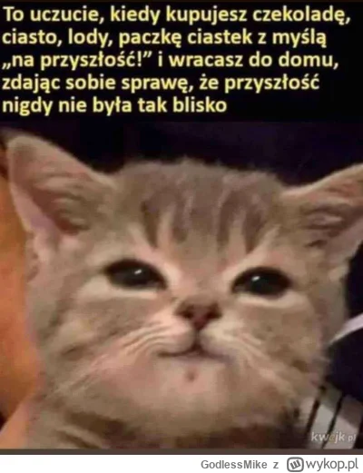 GodlessMike - #heheszki #humorobrazkowy #smiesznekotki