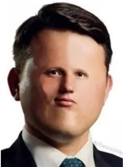 Dr_Strachu - Moim zdaniem jedną z największych kompromitacji Mentzena były jego hipot...