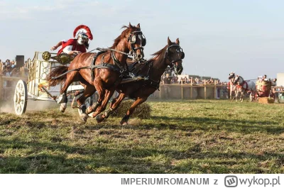 IMPERIUMROMANUM - Koń – ofiara jesiennego obrządku

Pole marsowe leżało nad Tybrem i ...