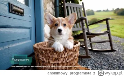 anonimowy_programista - Widzę, że aktorzy przez AI mają bardziej p--------e niż progr...