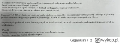 Gigasus97 - Wyszło takie coś