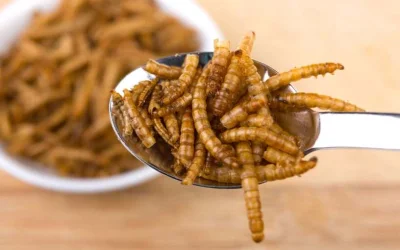 zenozed5000 - Zgodnie z nowym rozporządzeniem Komisji Europejskiej, od lutego 2025 r....