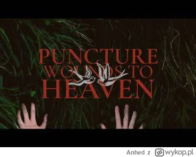 Anhed - Casey - Puncture Wounds to Heaven
#metalcore #muzyka