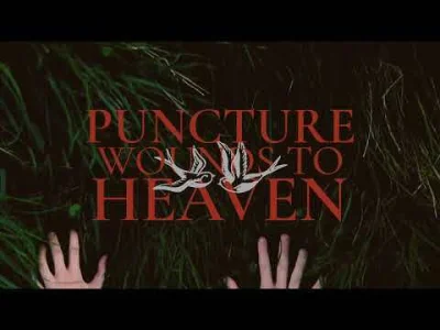 Anhed - Casey - Puncture Wounds to Heaven
#metalcore #muzyka