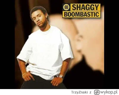 TrzyZnaki - Wracam z kolejnym blendem, tym razem przygotowanym w wyjątkowo krótkim cz...