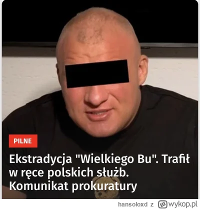 hansoloxd - Daj plusa, a zawołam Cię jak Nawrocki ułaskawi Wielkiego Bu. #bekazpisu #...