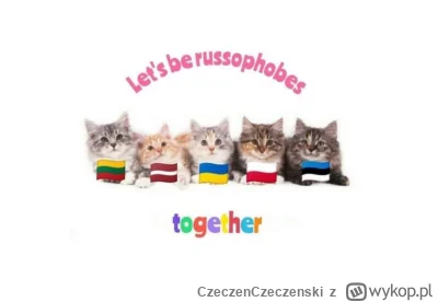 CzeczenCzeczenski - #ukraina #polska #wojna #rosja